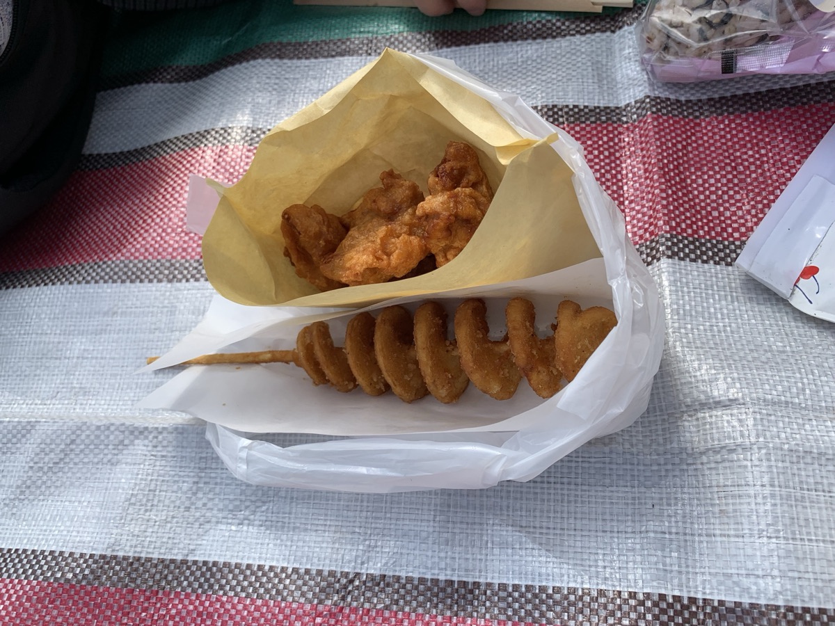 Fried chicken and fries from one of the park's food stalls, packed for a picnic-style lunch