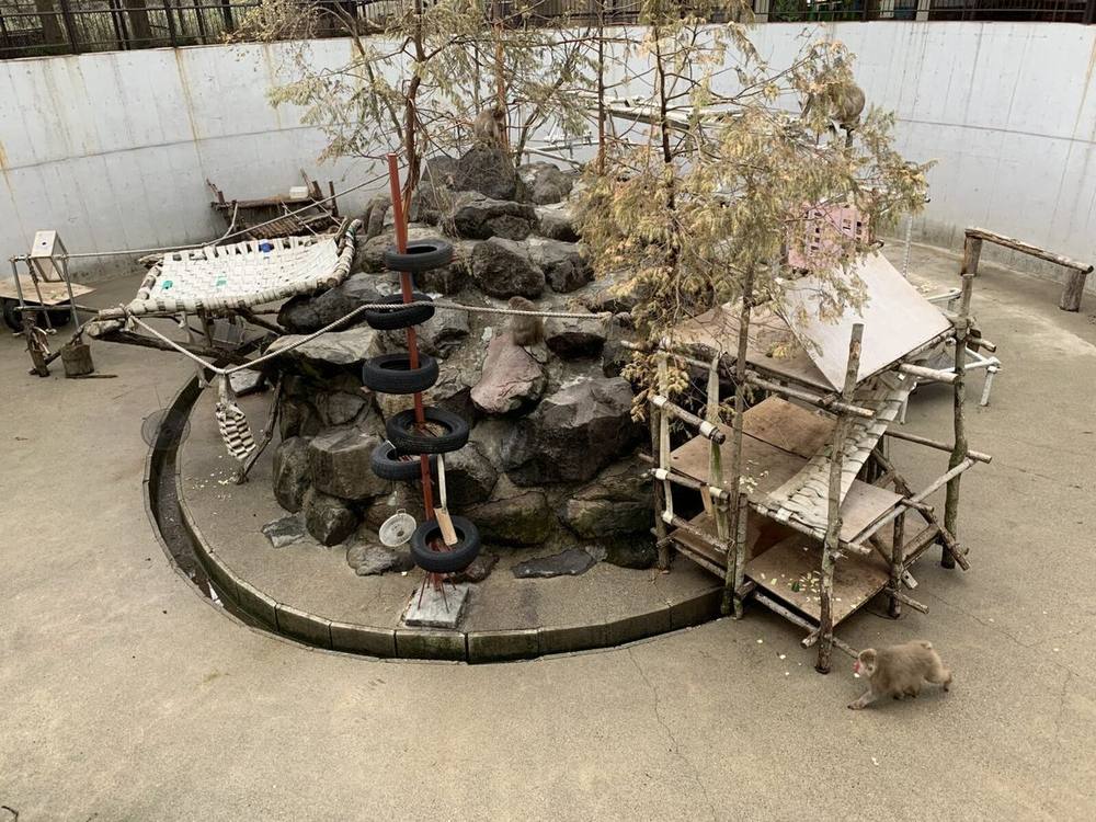 The outdoor monkey habitat at the back of the park