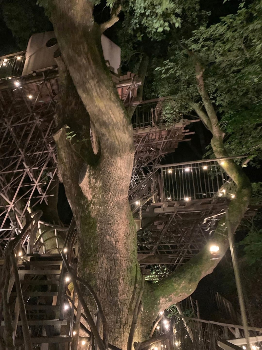 Illuminated steps and platforms around the treehouse at night