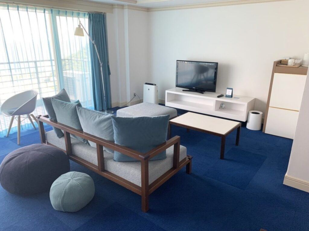 The living area with a sofa, TV, air purifier and floor cushions