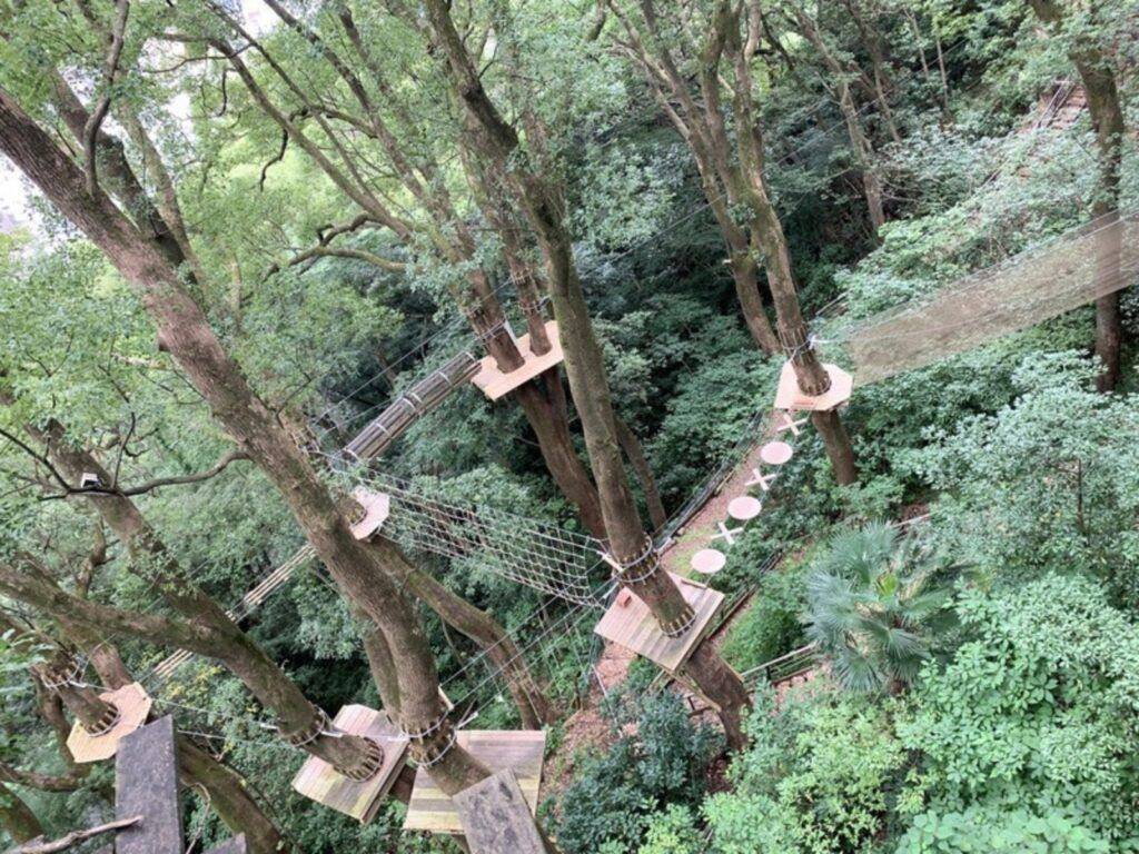 The forest adventure course seen from above among the treetops
